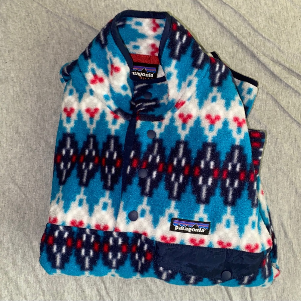 RARE Men’s Synchilla Snap-T Pullover Patagonia